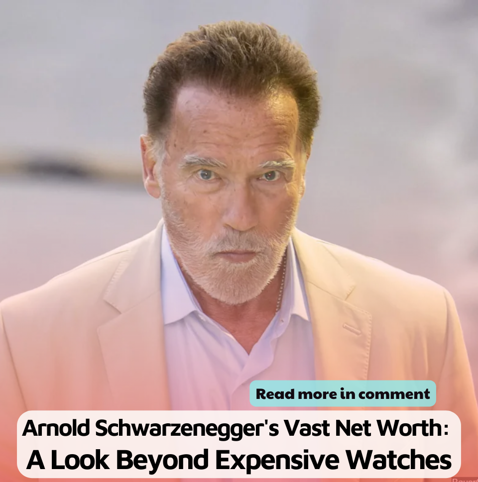 Arnold Schwarzenegger's Vast Net Worth: A Look Beyond Expensive Watches ...